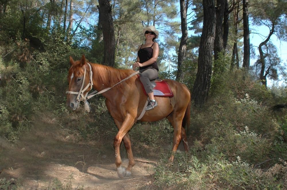 At Safari (Horse Riding)