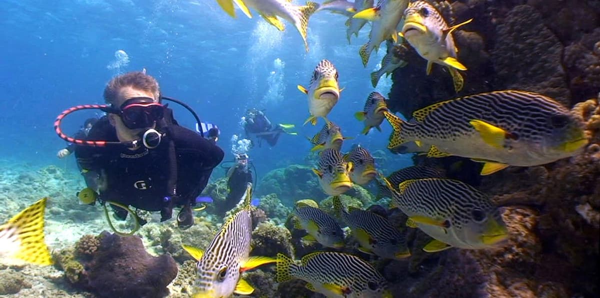 Tüplü Dalış (Scuba Diving)